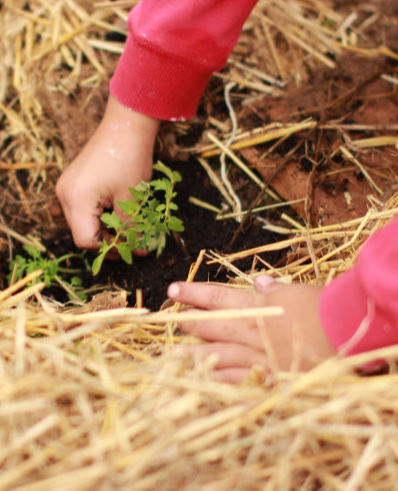 Se nourrir : jardin en permaculture